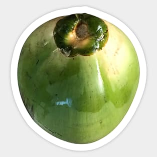 isolated COCONUT Sticker